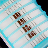 LED Socket Electric Mosquito Fly Insect Trap Night Lamp Killer Zapper EU Plug