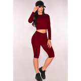 2017 Casual Women Two Piece Outfits Jumpsuits Long Sleeve Bodycon 2 Piece Set Crop Top+Calf-Length Pants Sexy Rompers Playsuit