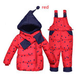 NEW 2015 winter children clothing sets duck down jacket sets pants-jacket hooded baby girls winter jacket & coat Pony pattern NEW 2015 winter children clothing sets duck down jacket sets pants-jacket hooded baby girls winter jacket & coat Pony pattern