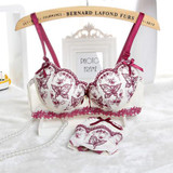 New 2015 Sexy Intimates Womens Bra Set Embroidery Lace Lingerie Ladies Push Up Padded Bra Underwear Lovely Women Bra Set