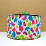 Free shipping 2017 new arrival ribbons Hair Accessories dreamcatcher ribbon 10 yards printed grosgrain ribbons 17143
