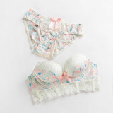 New 2016 women brand bra fashion winter dress bra set vs sexy underwear lace sexy women bra set gathered push up bra brief set