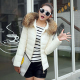 New 2016 Winter Fur Collar Cotton Coat Women Short Slim Cotton Padded Jacket Hooded Casual Women Jackets and Coats PW0663
