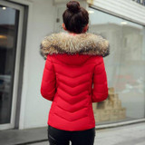 New 2016 Winter Fur Collar Cotton Coat Women Short Slim Cotton Padded Jacket Hooded Casual Women Jackets and Coats PW0663