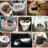 Hoopet Bed Dog Bench for Cats Cotton Pets Products Puppy