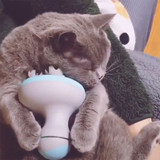 Pet Intelligent Charging 3D Head Massager Cats Automatic