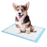 Dog Potty Training Pads - Super Absorbent