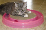 Cat Scratcher Toy - Starchaser Turboscratcher Cat Toy - Bergan