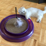 Cat Scratcher Toy - Starchaser Turboscratcher Cat Toy - Bergan
