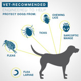 Flea and Tick Collar for Small Dogs - Seresto - 8-Month Flea and Tick Collar