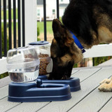 Small Gravity Pet Food Dispenser - 6lb Capacity - Petite Gourmet Pet Feeder - 13″ x 11.5″ x 11.25" - Bergan