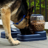 Small Gravity Pet Food and Water Dispenser Combo- Bergan