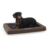 Indoor Outdoor Dog Bed - Comfy n' Dry Indoor-Outdoor Pet Bed - K&H Pet Products