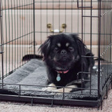 Self Warming Pet Pad - K&H Pet Products