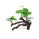 Aquarium Ficus Decor - BioBubble Decorative Ficus