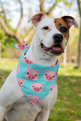 Piggy Pet Bandana