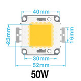 High Power 5pcs LED Lamp Chip 100W 50W 30W 20W 10W DC Light Beads White Warm White COB Chip DIY Floodlight Downlight Stree Light
