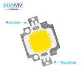 High Power 5pcs LED Lamp Chip 100W 50W 30W 20W 10W DC Light Beads White Warm White COB Chip DIY Floodlight Downlight Stree Light