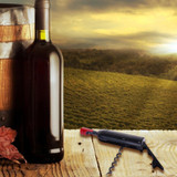 Happy Sale 1pc Beer and Wine Opener Cooking Tool Beer Can Bottle Opener Creative Gift