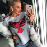 New Style in Autumn 2017 Women Winter Autumn Sequined Jumper Sweater Hooded Pullover Tops