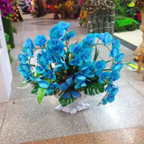 Phalaenopsis Room Interior Decoration Flowers Potted 100 Seeds