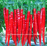 Home Garden Plant 200 Seeds Red Spicy Hot Long Chilli Pepper , Patio Plant Vegetable Seeds Free Shipping