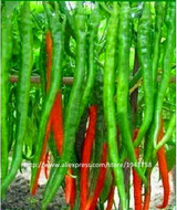 Home Garden Plant 200 Seeds Red Spicy Hot Long Chilli Pepper , Patio Plant Vegetable Seeds Free Shipping