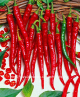 Home Garden Plant 200 Seeds Red Spicy Hot Long Chilli Pepper , Patio Plant Vegetable Seeds Free Shipping