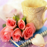 home &amp; garden 1 Professional Pack, 100 seeds / pack, Red Black Rare Rose Plant Seedling Garden Seed