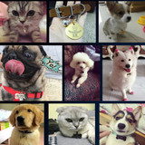 Hipidog Free Personalized Engraving Text Dog Tag Engraved Dog Cat Tag Dog Identification Customized Name Address Telephone