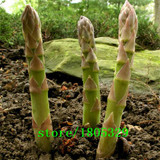 GGG Original Pack 100 Seeds / Pack,Small Bonsai Asparagus Bonsai Tree Seeds Green Asparagus Seeds