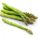 GGG Original Pack 100 Seeds / Pack,Small Bonsai Asparagus Bonsai Tree Seeds Green Asparagus Seeds