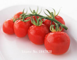 GGG AAA Bonsai tomato Seeds 100pcs 10kinds mix vegetable Seeds Novel Plant for Garden Free Shipping