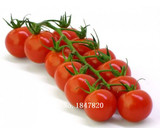 GGG AAA Bonsai tomato Seeds 100pcs 10kinds mix vegetable Seeds Novel Plant for Garden Free Shipping