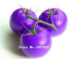 GGG AAA Bonsai tomato Seeds 100pcs 10kinds mix vegetable Seeds Novel Plant for Garden Free Shipping