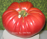GGG AAA Bonsai tomato Seeds 100pcs 10kinds mix vegetable Seeds Novel Plant for Garden Free Shipping