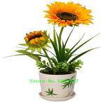 GGG 50 Dwarf Sunflower Bonsai Seeds,Indoor &amp; Outdoor Dwarf Mini Sunflower seeds,Balcony Mini Plant