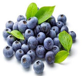 GGG 200 pcs Blueberry seed Fruit seeds Potted blueberry seeds Free shipping