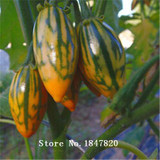GGG 100pcs Purple Eggplant Seeds vegetable seeds free Shipping