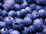 GGG 100pcs fruit seeds BlueBerry seeds Highbush Blueberries DIY Countyard Bonsai plants Seeds for home &amp; garden 100 seeds