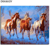 DRAWJOY Frameless Picture Painting By Numbers Wall Art Acrylic DIY Oil Canvas Painting Home Decoration For Living Room 40*50CM