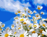 DRAWJOY Frameless Picture Painting By Numbers Wall Art Acrylic DIY Oil Canvas Painting Home Decoration For Living Room 40*50CM