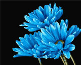 DRAWJOY Frameless Picture Painting By Numbers Wall Art Acrylic DIY Oil Canvas Painting Home Decoration For Living Room 40*50CM