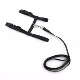 Adjustable Pet Traction Belt Cat Dog Accessories Halter Dog Collar Small Pet Dog Harness And Leash Chihuahua 3 Colors Nylon