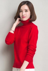 Addonee Sweater Women 2017 Warm Winter Autumn Turtleneck Soft Comfortable Women Sweaters and Pullovers Cashmere Sweater