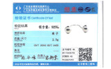 925 Sterling-Silver Essence Logo Safety Chain Beads Fit for Eu Brand Essence Bracelet Silver Beads Jewelry DIY Jewelry Wholesale