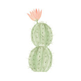 900D Watercolor succulent Canvas Art Print Painting Poster,  Cactus set Wall Pictures for Home Decoration,  Home Decor DE007