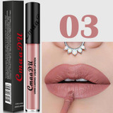 Lip Brand Matte Liquid Lipstick Nude Metallic Matte Lipstick Waterproof Lip Gloss Makeup Lipstick Liquid Matte Cosmetics