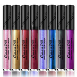 Lip Brand Matte Liquid Lipstick Nude Metallic Matte Lipstick Waterproof Lip Gloss Makeup Lipstick Liquid Matte Cosmetics