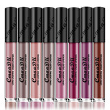 Lip Brand Matte Liquid Lipstick Nude Metallic Matte Lipstick Waterproof Lip Gloss Makeup Lipstick Liquid Matte Cosmetics